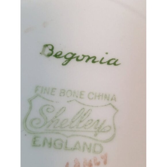 Shelley "BEGONIA" Teacup & Saucer - Picture 9 of 9